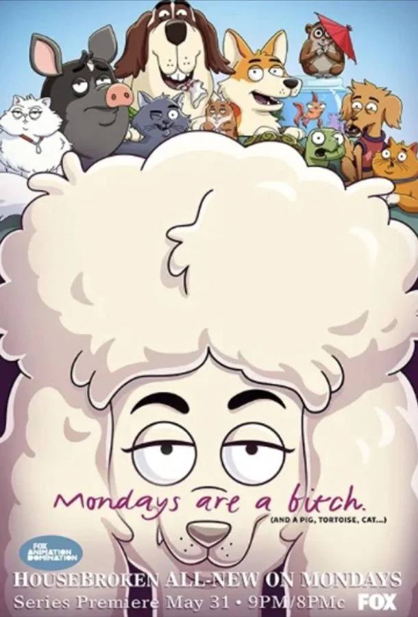 К лотку приучены Мультсериал2021смотреть онлайн бесплатно